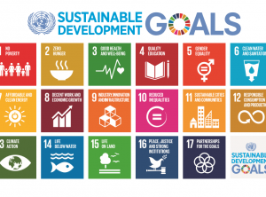 CSR and Sustainable Development Goals