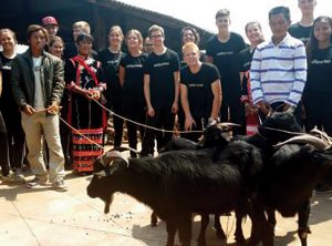 Fair Trade Buys Goats: A gift that keeps on giving