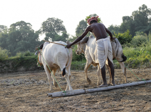 Supporting Rural Safety in Nigeria